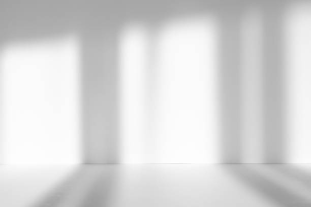 istock Abstract white studio background with shadows of window. Empty 3d room. Display product with blurred backdrop. 2178854113