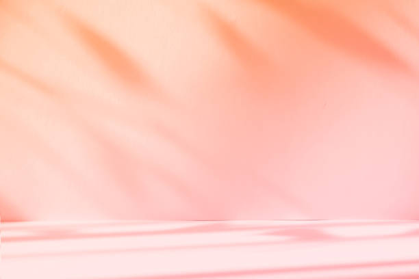 istock Abstract pink color gradient studio background for product presentation. Empty room with shadows of window and flowers and palm leaves . 3d room with copy space. Summer concert. Blurred backdrop. 2178854141