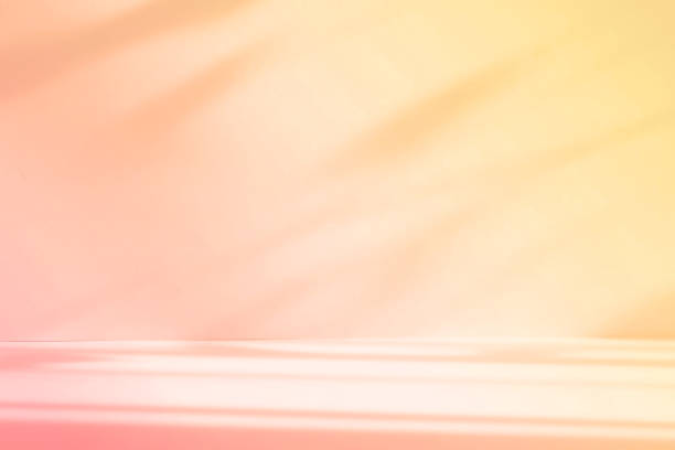 istock Abstract orange color gradient studio background for product presentation. Empty room with shadows of window and flowers and palm leaves . 3d room with copy space. Summer concert. Blurred backdrop. 2178854142