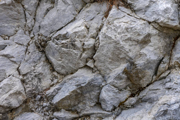 istock Close-up of rugged gray rock formations displaying intricate textures and patterns in a natural outdoor setting under diffused lighting 2178855500