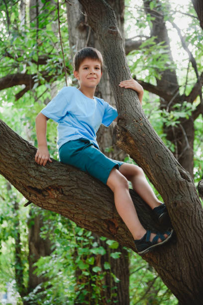 istock A boy climbs a tree in a park during the day 2178856436