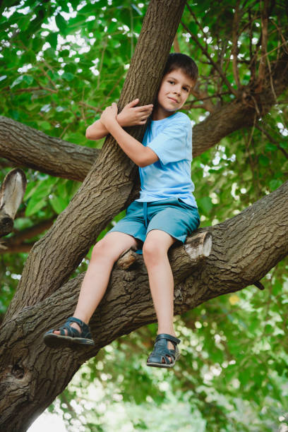 istock A child climbs a tree in the forest 2178856456