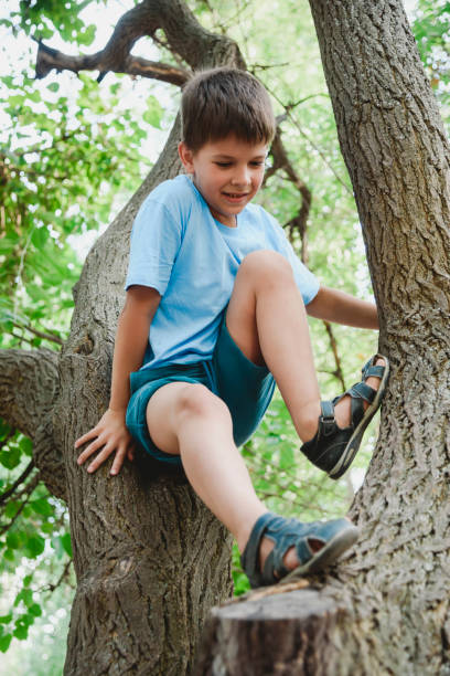 istock A boy climbs a tree in a park during the day 2178856534