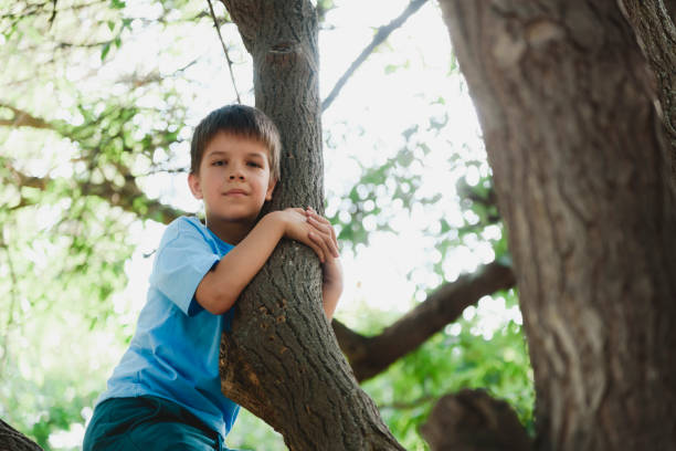 istock A child climbs a tree in the forest 2178856649