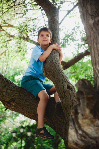 istock A boy climbs a tree in a park during the day 2178856663