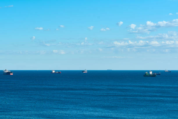 A tranquil scene of cargo ships scattered across a vast blue sea with a clear sky overhead. Ideal image for themes of transport, international trade, and marine industries