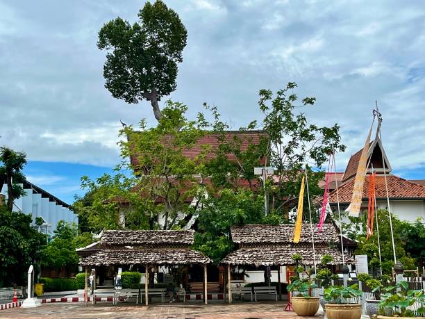 istock Thailand- Chiang Mai - Wat Chedi Luang 2178872933