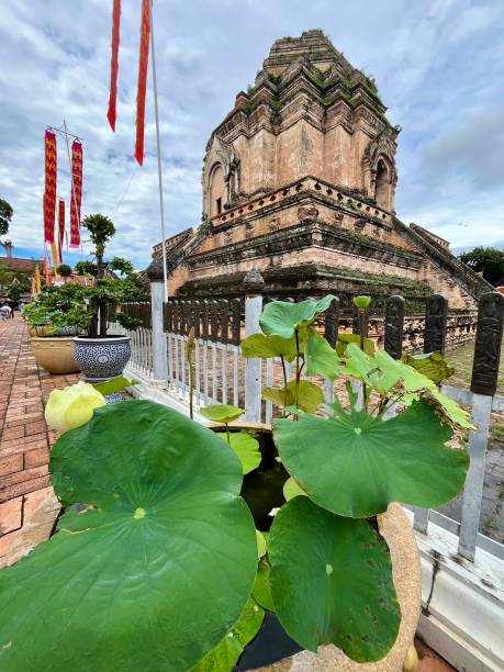 Thailand- Chiang Mai - Wat Chedi Luang. It is a Buddhist temple in the historic centre of Chiang Mai, Thailand. The current temple grounds were originally made up of three temples — Wat Chedi Luang, Wat Ho Tham and Wat Sukmin