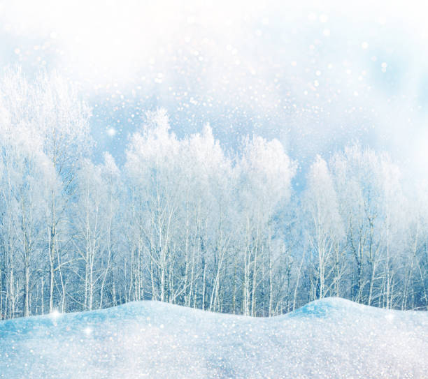 istock Landscape. Frozen winter forest with snow covered trees. 2178879156
