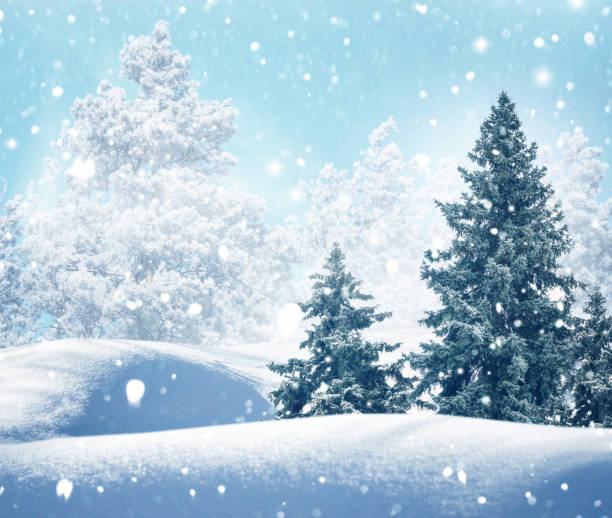 istock Landscape. Frozen winter forest with snow covered trees. 2178879250