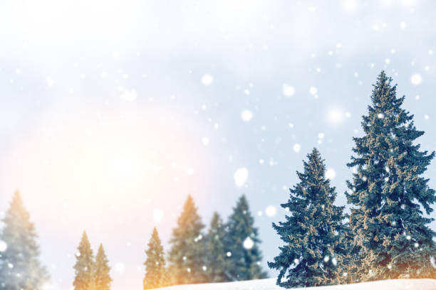 istock Landscape. Frozen winter forest with snow covered trees. 2178879263