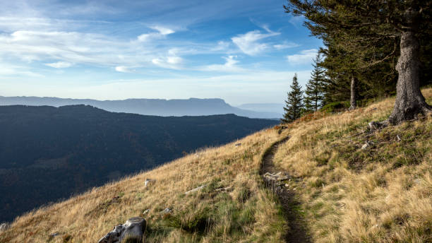 Hiking path in a mountain landscapein the Belledonne massif between mountain pastures and forests around Lac du Léat