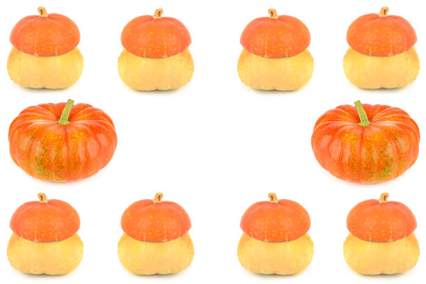 Three different types of pumpkins on display in Ludwigsburg, Germany