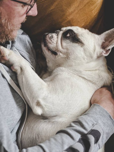 istock Man embracing his Frenchie dog 2178892304