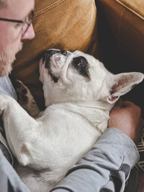 istock Man embracing his Frenchie dog 2178892306