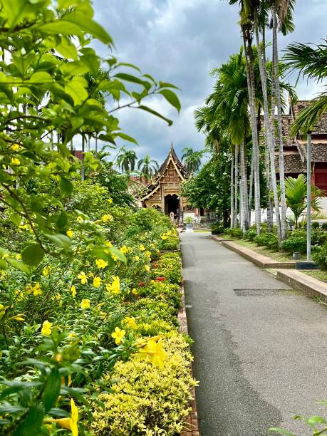 Thailand - Chiang Mai - Wat Pra Singh. Wat Phra Singh the temple of the Lion Buddha is located at the end of the main street (Rachadamnoen road) of Chiang Mai in the old city.