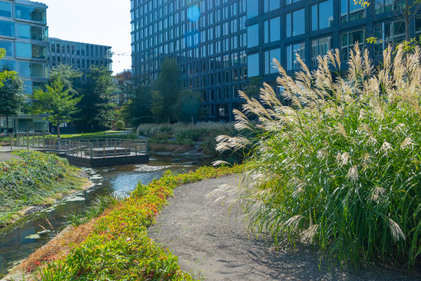 istock Green plantings among office buildings. Modern landscaping. 2178894687