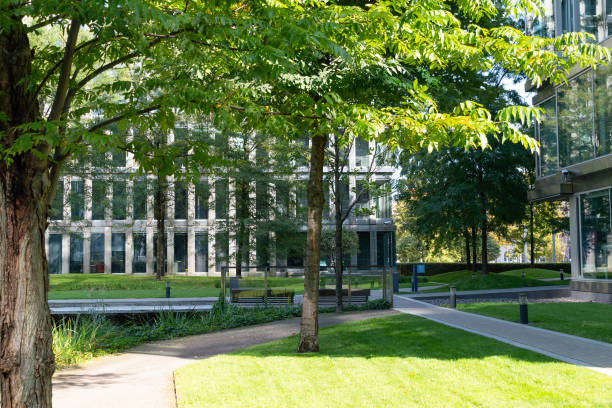 istock Green plantings among office buildings. Modern landscaping. 2178894708