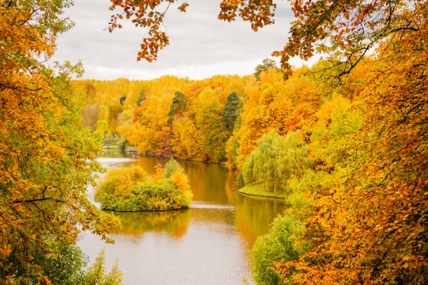 istock Autumn foliage in park 2178903902