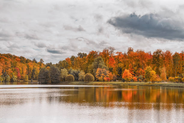Autumn scenery at the pond reflection in the water of colorful, vibrant forest trees