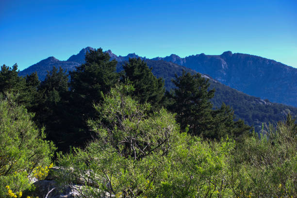 mountain landscape in summer on a sunny day in spain near madrid