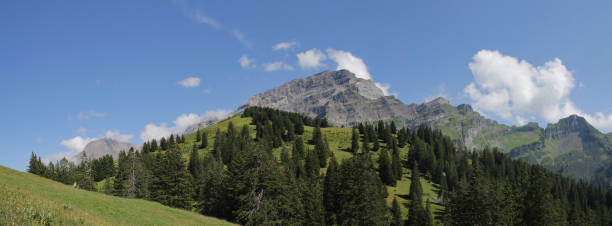 istock Forest Hill Against Mountain Peak 2178927025