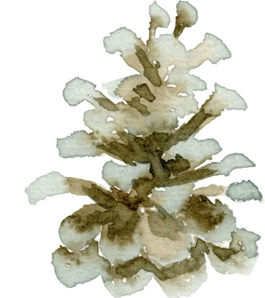 istock Watercolor Christmas green tir tree pine cone. Spruce and holiday tree. Hand-drawn on a paper illustration. 2178927554