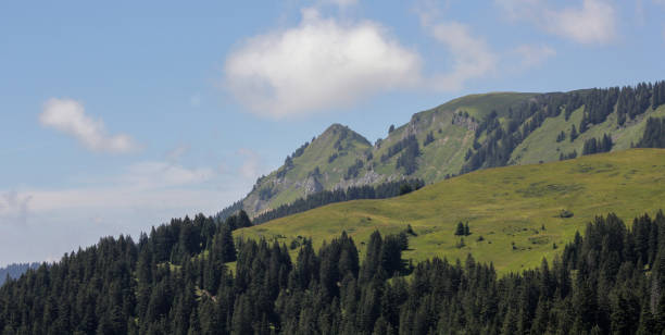 View Of A Mountain Peak In Summer