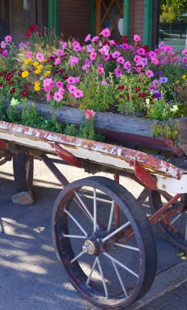 istock Antique wood wagon filled with fresh flowers 2178941315