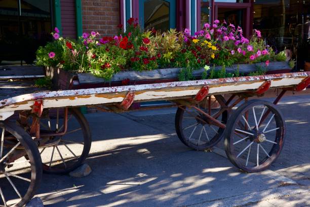 istock Antique wood wagon filled with fresh flowers 2178941319