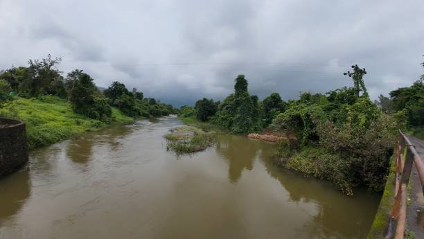 istock Tranquil water body amidst a lush green meadow, with a cloudy sky overhead 2178951004