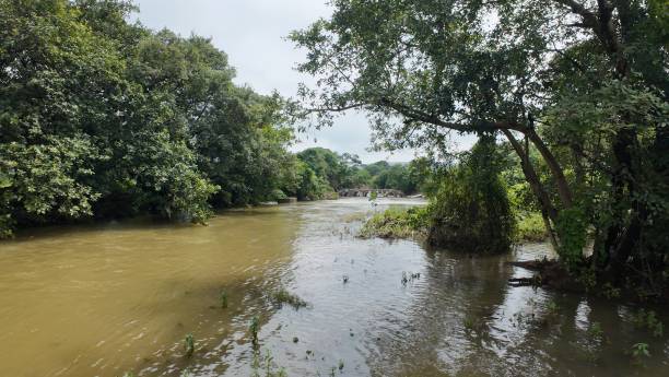 istock Tranquil water body amidst a lush green meadow, with a cloudy sky overhead 2178951023