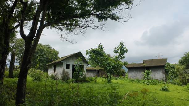 istock Abandoned houses overgrown with green vegetation and weeds 2178951221