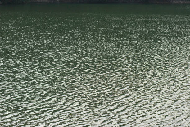 the river at Lau Shui Heung Reservoir, hk