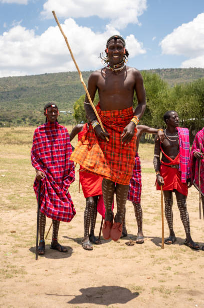Maasai men hold a prominent role in their communities, embodying the tribe’s warrior ethos and serving as protectors and providers for their village. Traditionally, Maasai men are responsible for tending to the cattle, the primary source of wealth and sustenance for the Maasai people. Cattle are central to Maasai culture, and men are often seen leading their herds across the savanna in search of grazing land and water. Maasai men also play a crucial role in defending the community from predators and external threats.\n\nA significant aspect of Maasai men's lives is their rite of passage to become \