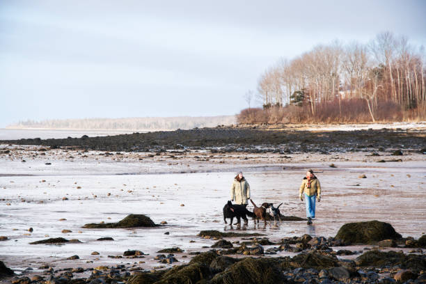 istock Mother and daughter enjoying a winter beach walk 2178968600
