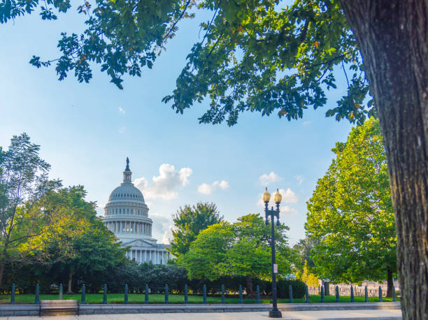 istock United States Capitol seen through a tree on a clear day 2178978775