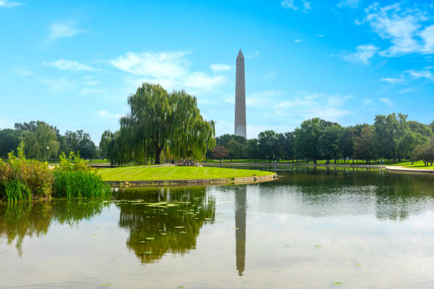istock Washington Monument reflected on the water of Constitution Gardens Pond 2178981048
