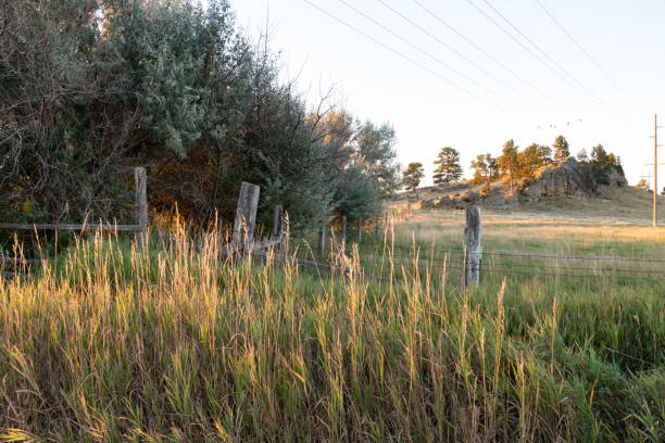Free Stock Photo of Barbed Wire Fence Along Grass Field | Download Free ...