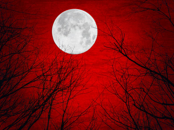 Full Moon on Vivid Red Fiery Sky with Tree Silhouettes from Below. Dramatic Scene. Elements of this image are provided by NASA.