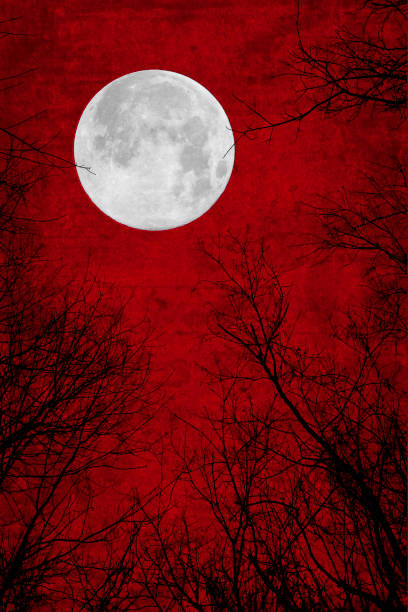 Full Moon on Vivid Red Fiery Sky with Tree Silhouettes from Below. Dramatic scene. Elements of this image are provided by NASA.