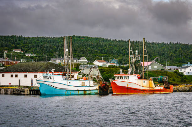 Two fishing trawlers, painted blue and red are docked in St. Anthony, Newfoundland  on an August morning.