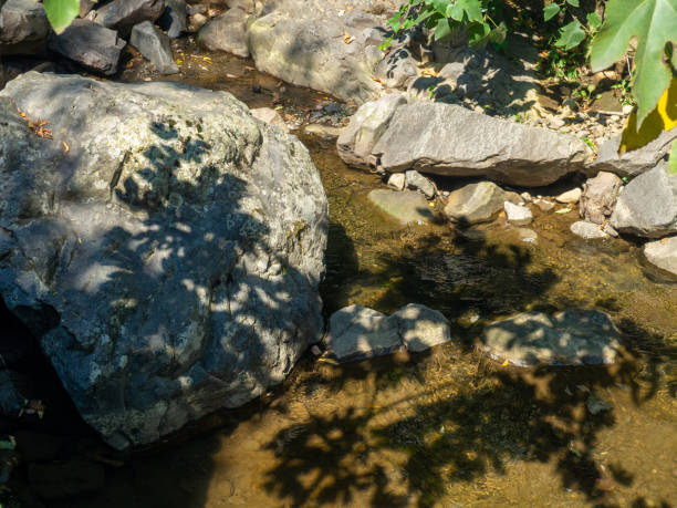 istock Large boulders in a stream. Mountain river. Nature. 2178999899