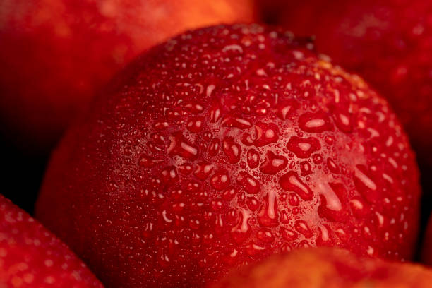 ripe wet red nectarines folded together
