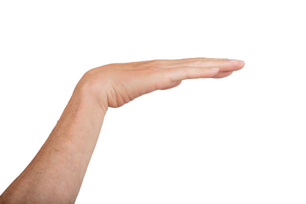 Hand gesturing with palm horizontal, fingers isolated on white. Level measure sign, control human skin, body part. Straight background arm wrist balance stable and flat