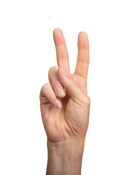 istock V for victory, hand gesture, sign isolated on white background 2179010778