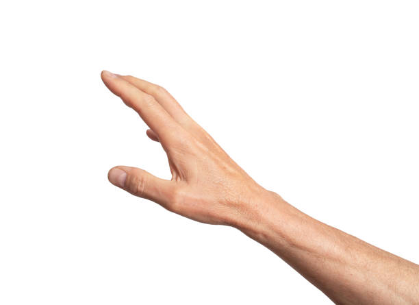 istock reaching out, hand gesture, sign isolated on white background 2179010779
