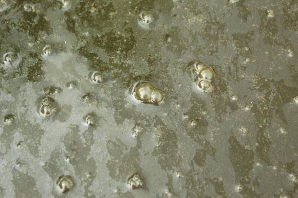 background of bubbles on dirty water