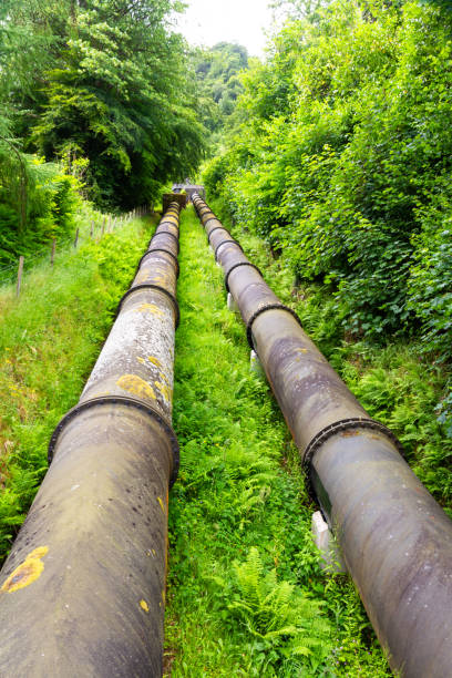 Oil or Gas Pipeline Valves On Grass. 3D Render
