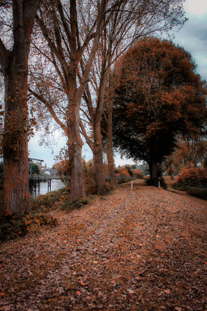 A walking path in autumn, looking onto the village of Engelen (a now suburb of Den Bosch / 's-Hertogenbosch), taken from Meerwijk.